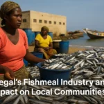 The Fishmeal Trap: How Global Appetite for Aquafeed is Starving Senegal