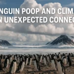 The Cloud Makers: How Penguin Poop is Shaping Antarctica’s Climate