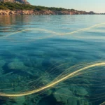 The Luminous Legacy of Byssus: Sardinia’s Vanishing Sea Silk – An Epic of Ocean, Art, and Spirit