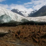The Whispering Ice: Unearthing a Prehistoric World in the Himalayas