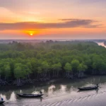 The Emerald Shield of Bangladesh: A Monumental Undertaking to Restore the World’s Largest Mangrove Forest