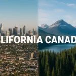 The Population Paradox: How One American State Achieved Demographic Parity With an Entire Nation