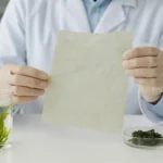 The Ocean’s Promise: Weaving a New Future from Seaweed